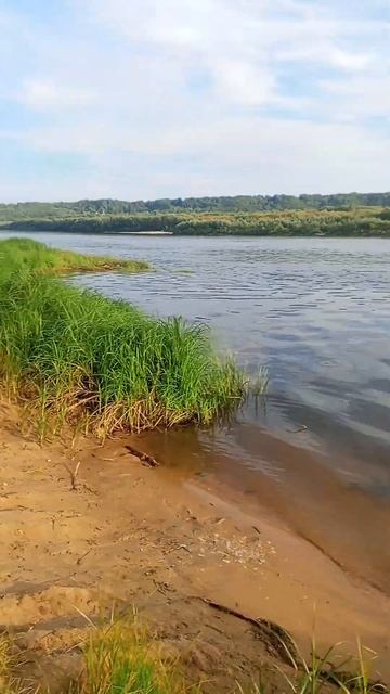 дам олиш смотреть онлайн