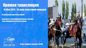 Прямая трансляция 16 Мая 2025 - 10 беговой день для лошадей рысистых пород