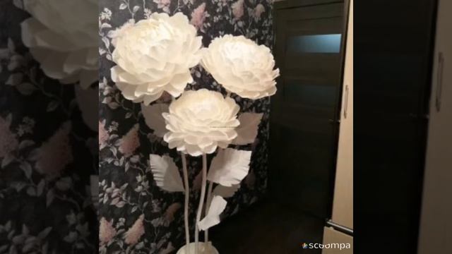 Ростовые цветы, для чего они смотреть онлайн