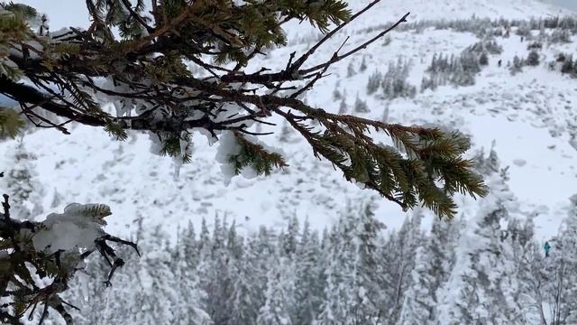 Круглица смотреть онлайн