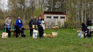 10.05.2025, СПб. "СПбГКСС" (РКФ, РФСС). Выставка собак САС 9 группы FCI