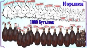 10 кроликов и 1000 бутылок вина