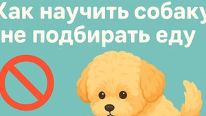Как отучить собаку подбирать еду?