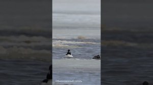 Работа фотографа в Забайкальском национальном парке
