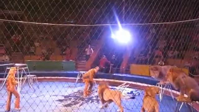 6 января 2021 г. смотреть онлайн