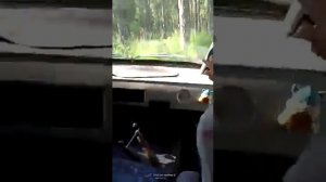 Дорога на Иремель .