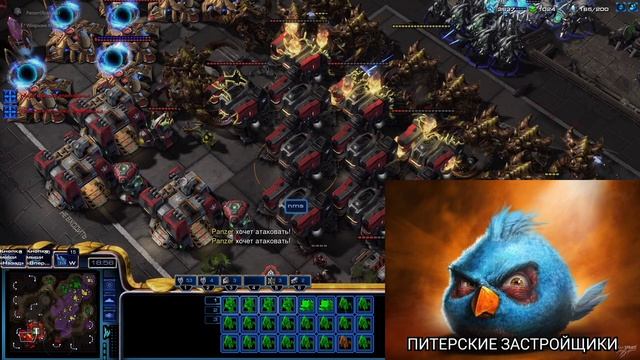 Мем по StarCraft II энгри бердс шаблоны! #1 смотреть онлайн