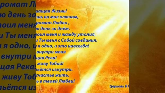 Вера и какне попадать под закон, а жить благодатью. Умножающий Бог! 22.08.2016. смотреть онлайн