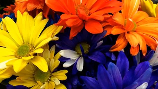 Реки лучших русских песен для фитнеса онлайн смотреть онлайн