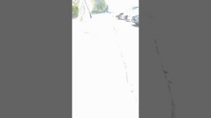 Прогулка по Товарищескому проспекту. Погода солнечная 16.05.2025