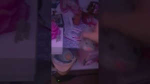2 сезон 26 серия ядовитый день