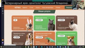 Что за сайт ветикапро.