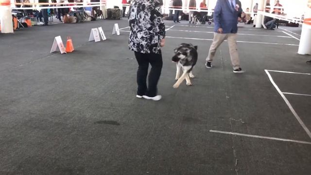 9 апреля 2017 г. смотреть онлайн