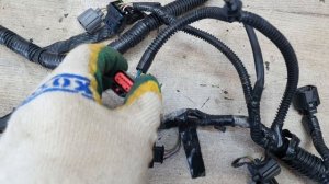 проводка коса моторная ford focus 3 1.6