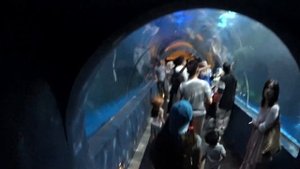 Лангкави! Океанариум "Underwater World"! Сменили отель!