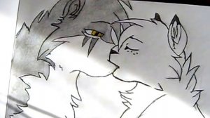 Мои рисунки котов воителей №1