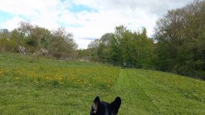 Выходные дачника 🏡,  майские.