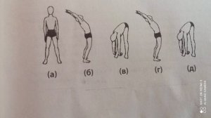 11 глава. 1упражнение.Лечебное дыхание по методу Брэгга. #здоровье#упражнения