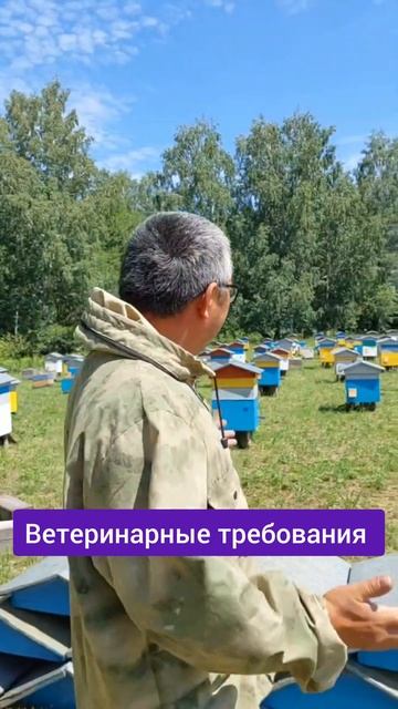 Вы этого не знали. Зачем красят улья в разный цвет смотреть онлайн