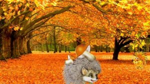 Детская песенка про ежика и лису