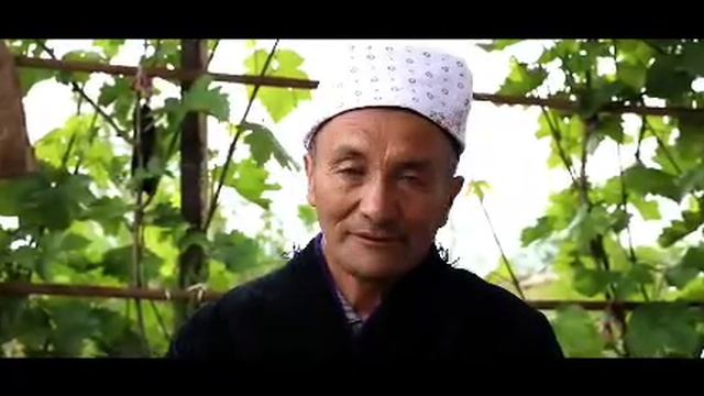 Офарин узбекистан смотреть онлайн