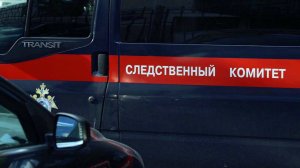 В деле об изнасиловании и убийстве девочки под Самарой появился новый поровот