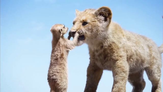 я из Украины всем хорошово насроения Украина попедит я верю смотреть онлайн