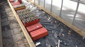 Обзор огорода и теплицы с рассадой томатов 27 марта. "ТОМАТНЫЕ ЯСЛИ".