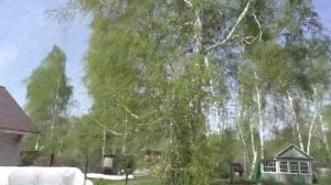 Замечательный участок моих друзей в середине мая