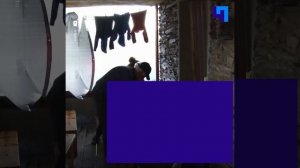 Дедушка Ираклий скачет на помощь: пожилой врач лечит больных в высокогорных поселениях в Грузии