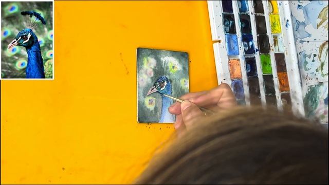 Павлин акварелью на акварельной бумаге с магнитом Малевич смотреть онлайн