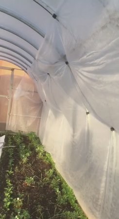 Зажимы из старого шланга  для крепления спанбонда
