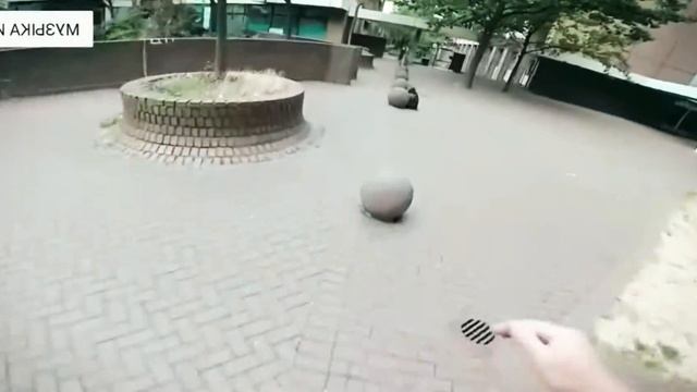 Паркур , песня - Быдло смотреть онлайн