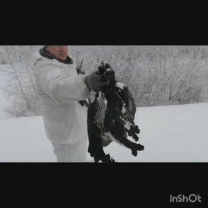 Видео-отзыв