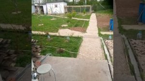 Продана дача и квартира. И котики переселились в дом . Жене- низкий поклон!!!