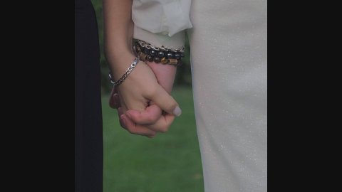 Андрей и Диана