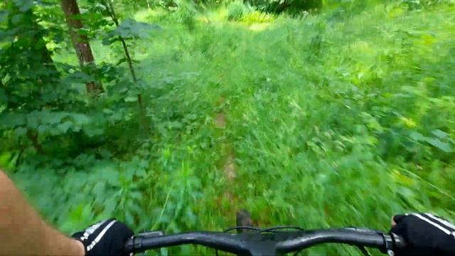 На велосипеде. Лес+ трэйлы #mtb #gravel #велосипед смотреть онлайн