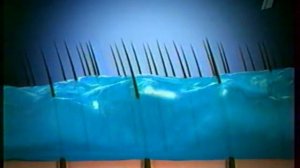 реклама [первый] гель для бритья - Gillette Series (2006)