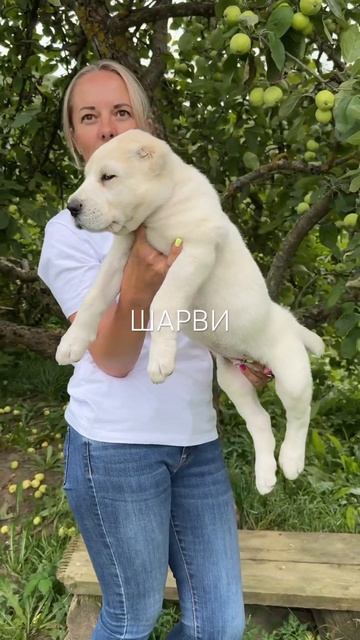 30 июля 2024 г. смотреть онлайн