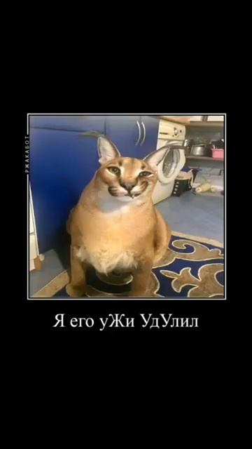 скачать бесплатно шлёпу без регистрации и смс смотреть онлайн