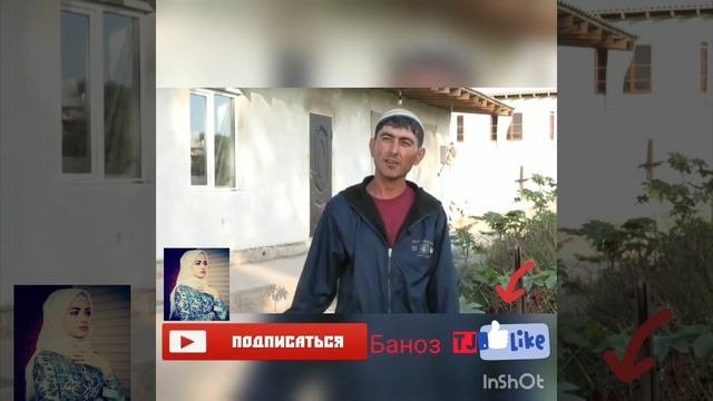 занаки худо нотарс 4 писаро кушта хонаро дардод