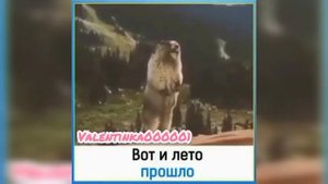 Вот и Лето прошло! Прикол.