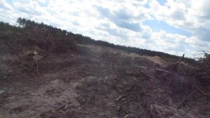 MVI_3623