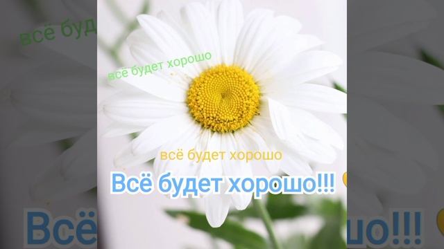 Верь в лучшее