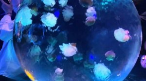 КУДА СХОДИТЬ В ПУСАНЕ? ОТЕЛИ ПЛЯЖИ ПУСАНА.ОТПУСК В ПУСАНЕ.ВЛОГ НА ПЛЯЖЕ ХЕУНДЭ.ОКЕАНАРИУМ ПУСАН.ЦЕН