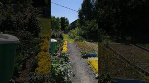 Дача Мира 104.mp4