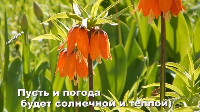 Самого доброго утречка вам смотреть онлайн