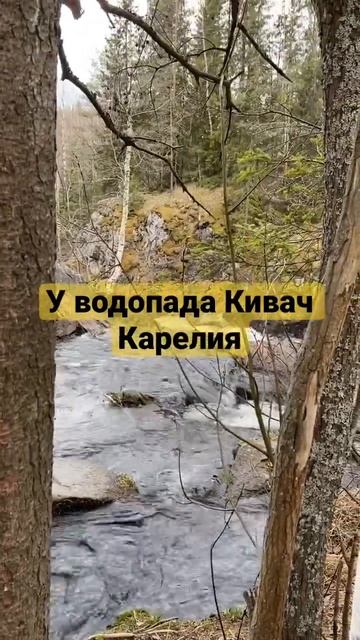 У водопада Кивач