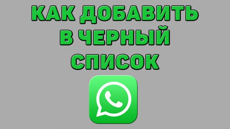 Как добавить в черный список в Ватсапе