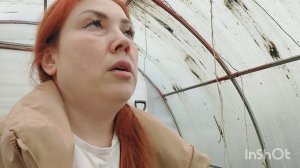 куда мне столько огурцов